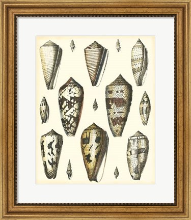 Framed Of Sea and Shore VI Print