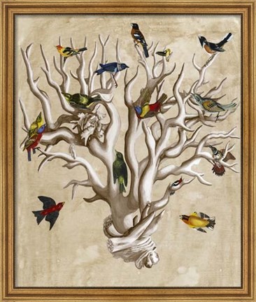 Framed Ornithologist&#39;s Dream I Print