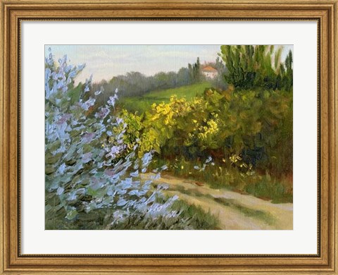 Framed Rosemary by the Road Print