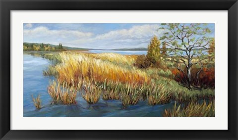 Framed Marsh Edge Print