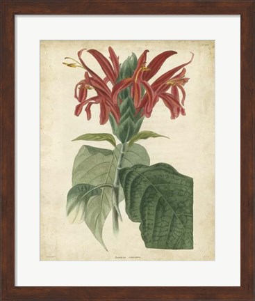 Framed Tropical Floral V Print