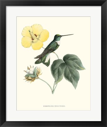 Framed Hummingbird &amp; Bloom I Print