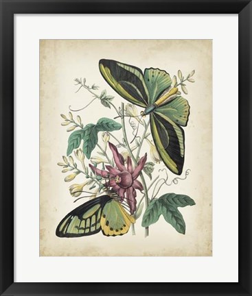 Framed Fanciful Flight II Print