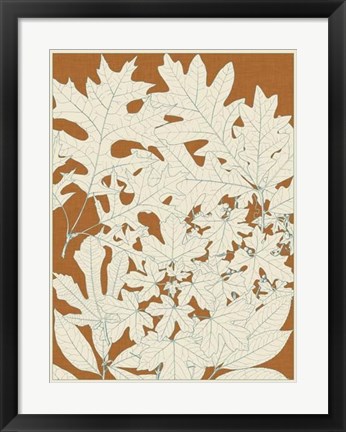 Framed Leaves from Nature II Print