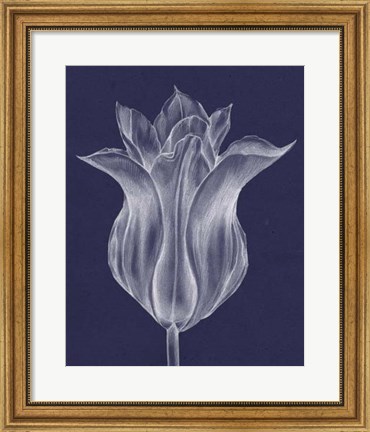 Framed Monochrome Tulip III Print
