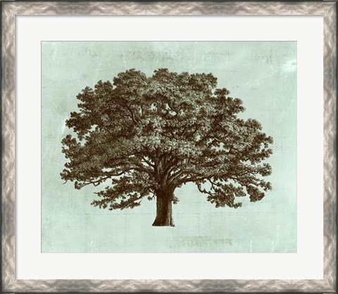 Framed Spa Tree I Print