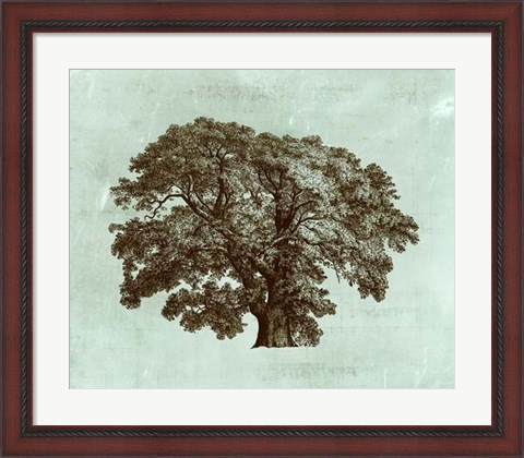 Framed Spa Tree II Print