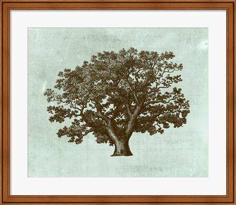 Framed Spa Tree IV Print