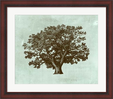 Framed Spa Tree IV Print