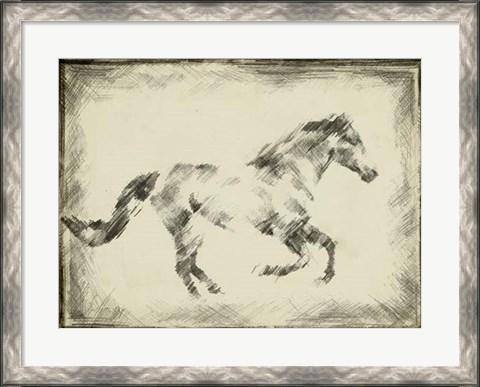 Framed Equine Study I Print