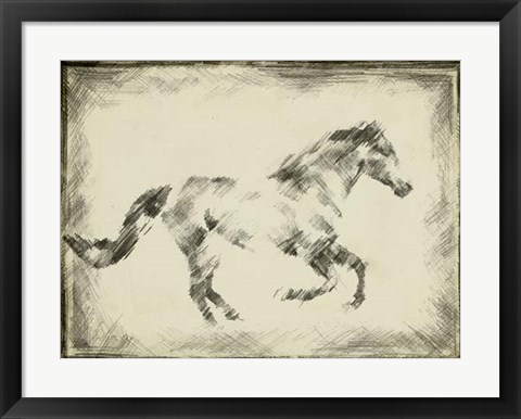 Framed Equine Study I Print