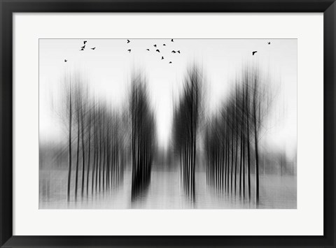 Framed Tree Architecture Print