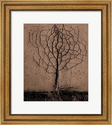Framed Asphalt Tree Print
