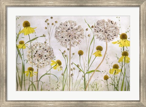 Framed Alliums and Heleniums Print