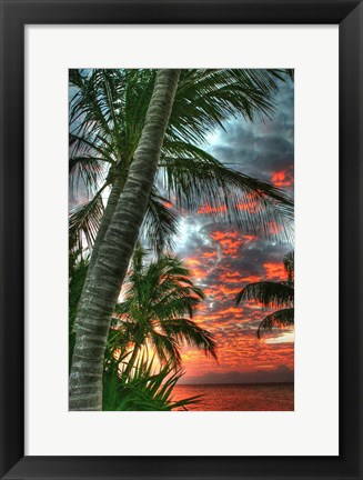 Framed Key West Palm Sunrise Vertical Print