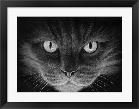 Framed Hypno Cat Print