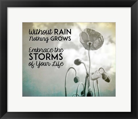 Framed Without Rain Nothing Grows Black and White Print