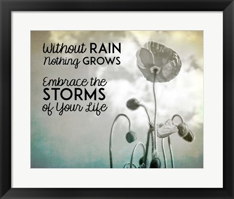 Framed Without Rain Nothing Grows Black and White Print