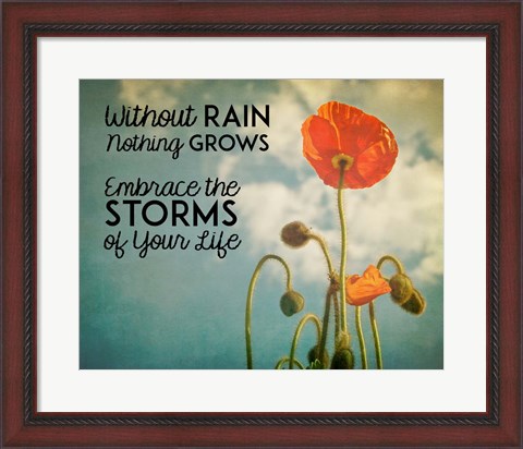 Framed Without Rain Nothing Grows Color Print