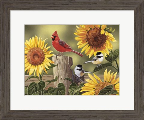 Framed Sunflowers and Songbirds Print