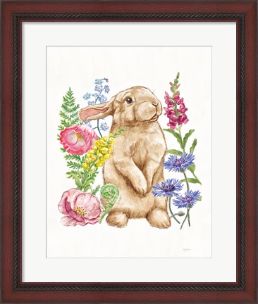 Framed Sunny Bunny III FB Print