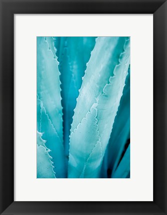 Framed Abstract Agava III Color Print