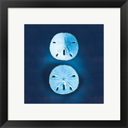 Framed Cyanotype Sea IV Print