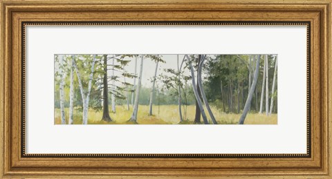 Framed Birch Field Print