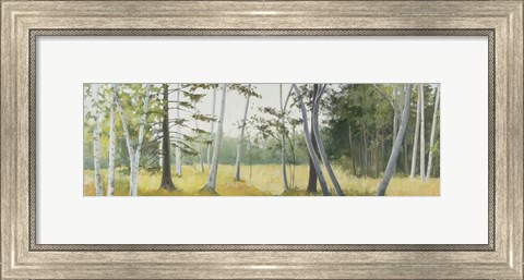 Framed Birch Field Print