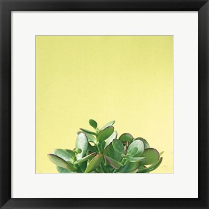 Framed Succulent Simplicity III Print