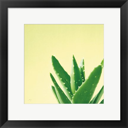 Framed Succulent Simplicity VI Print