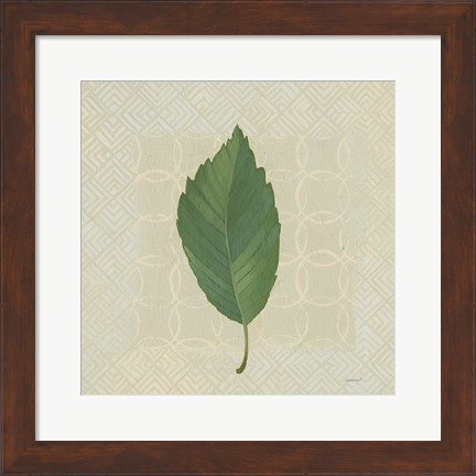 Framed Forest Leaves III no Lines Print