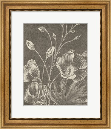 Framed Botanical Beauty Chalk IX Crop Print