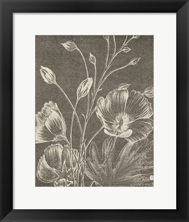 Framed Botanical Beauty Chalk IX Crop Print