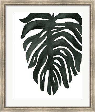 Framed Tropical Palm II BW Print