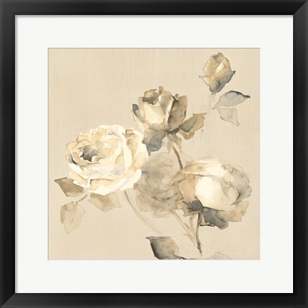 Framed Rose Blossoms Crop Print
