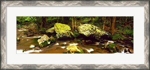 Framed Stream flowing through a Forest, Great Smoky Mountains National Park, Tennessee Print