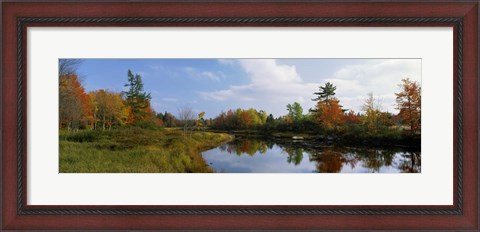 Framed Lake in a forest, Mount Desert Island, Hancock County, Maine Print