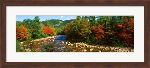 Framed River flowing through a Forest, Swift River, White Mountain National Forest, New Hampshire Print