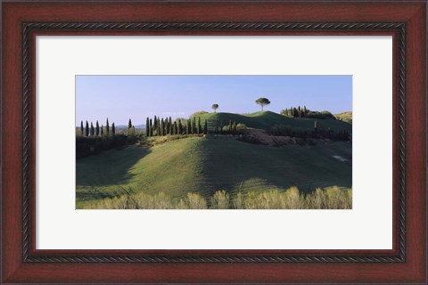 Framed Trees on Rolling Green Hills, Tuscany, Italy Print
