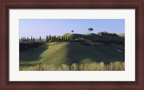 Framed Trees on Rolling Green Hills, Tuscany, Italy Print