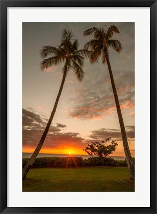 Framed Sunset Palms II Print