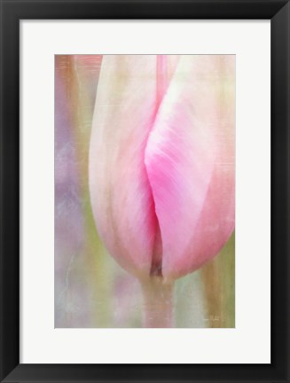 Framed Spring Beauty III Print