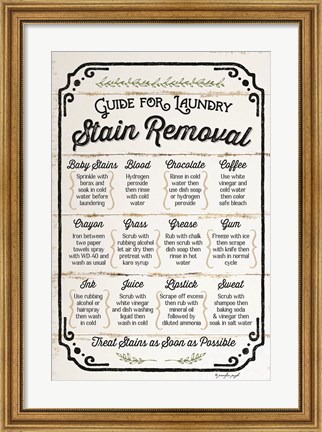 Framed Stain Removal Guide Print