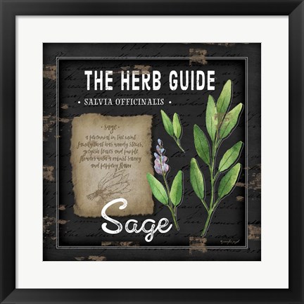 Framed Herb Guide Sage Print