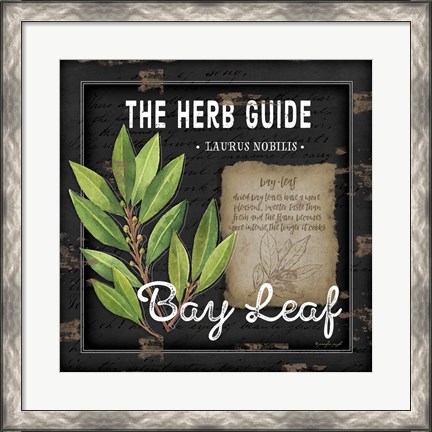 Framed Herb Guide Bay Leaf Print