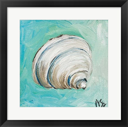 Framed Shell Print