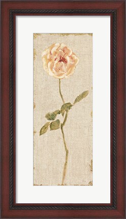 Framed Pale Rose Panel on White Vintage v2 Print