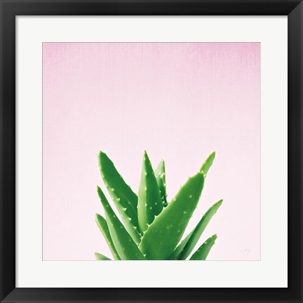 Framed Succulent Simplicity V on Pink Print