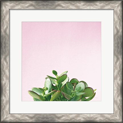 Framed Succulent Simplicity III on Pink Print